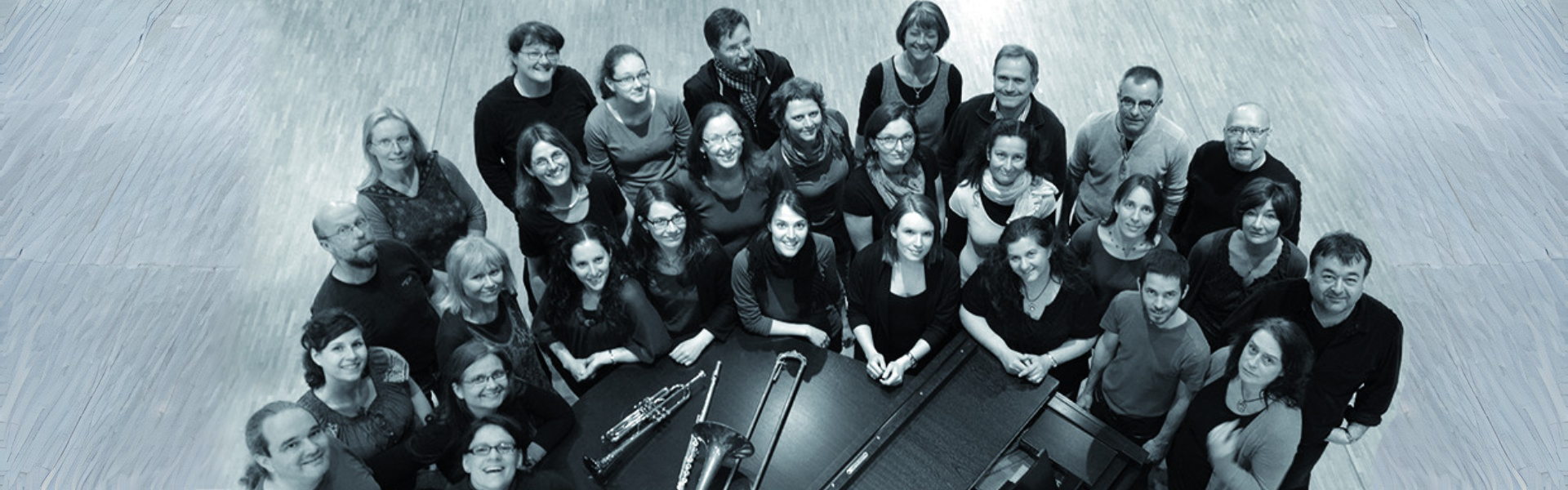 Wild Roses Crew »Frühlingsgezwitscher im Rosenbusch«